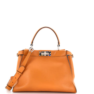Fendi Peekaboo Bag Leather with Plexiglass Detail Regular