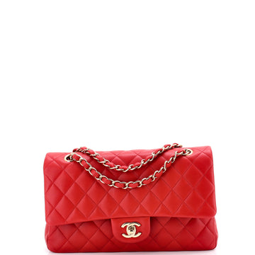 Chanel Classic Double Flap Bag Quilted Lambskin Medium