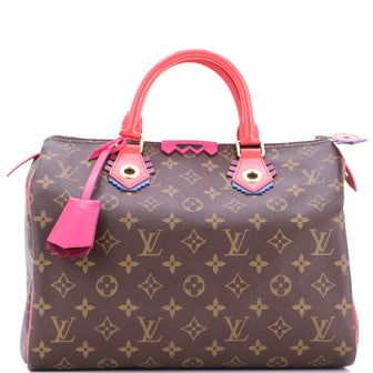 Louis Vuitton Speedy Handbag Limited Edition Totem Monogram Canvas with Leather 30