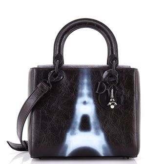 Christian Dior Lady Dior Bag Limited Edition Eiffel Tower Printed Leather Medium