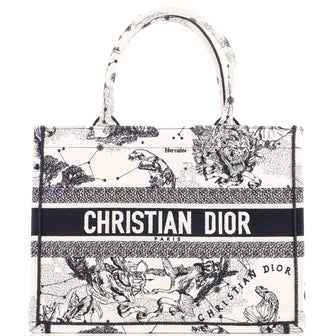 Christian Dior Book Tote Embroidered Canvas Medium