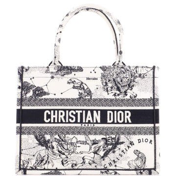 Christian Dior Book Tote Embroidered Canvas Medium