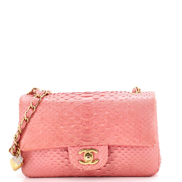 Chanel Classic Single Flap Bag Python Mini
