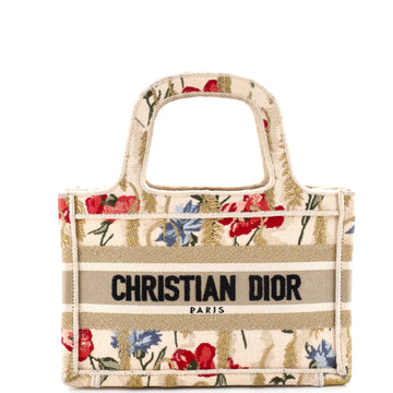 Christian Dior Book Tote Embroidered Canvas Mini