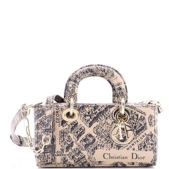 Christian Dior Lady D-Joy Bag Printed Leather Small