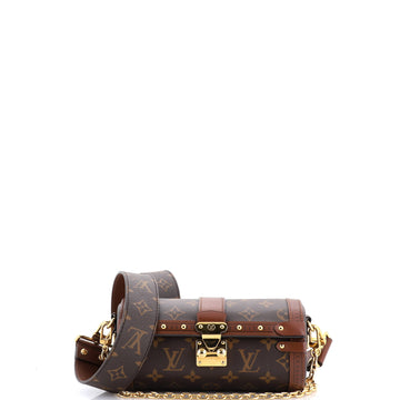 Louis Vuitton Papillon Trunk Bag Monogram Canvas