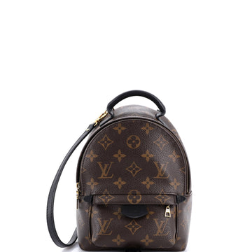 Louis Vuitton Palm Springs Backpack Monogram Canvas Mini