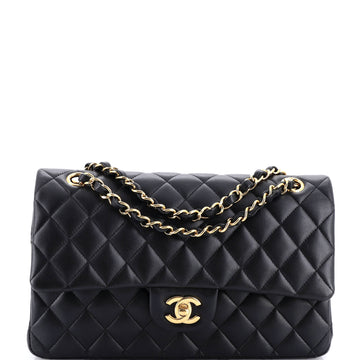 Chanel Classic Double Flap Bag Quilted Lambskin Medium