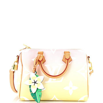 Louis Vuitton Speedy Bandouliere Bag By The Pool Monogram Giant 25