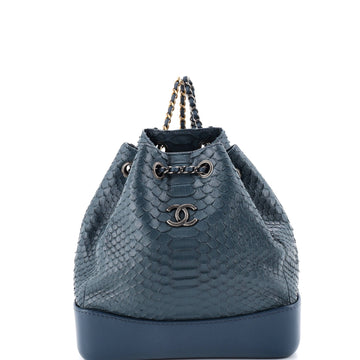 Chanel Gabrielle Backpack Python Small