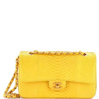 Chanel Classic Double Flap Bag Python Medium