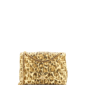 Celine Victoire Flap Shoulder Bag Printed Triomphe Coated Canvas Medium