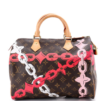 Louis Vuitton Speedy Handbag Limited Edition Bay Monogram Canvas 30