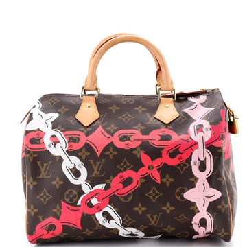 Louis Vuitton Speedy Handbag Limited Edition Bay Monogram Canvas 30