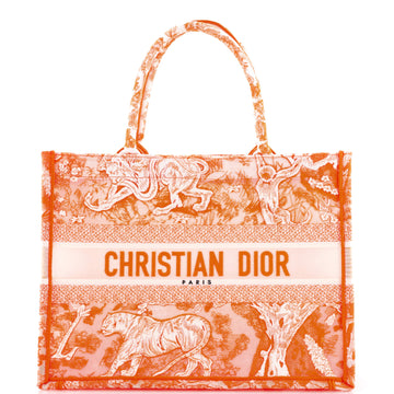 Christian Dior Book Tote Embroidered Canvas Medium