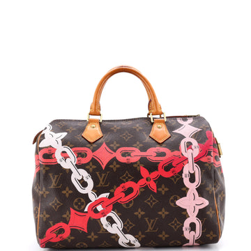 Louis Vuitton Speedy Handbag Limited Edition Bay Monogram Canvas 30