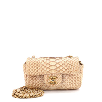 Chanel Classic Single Flap Bag Python Extra Mini