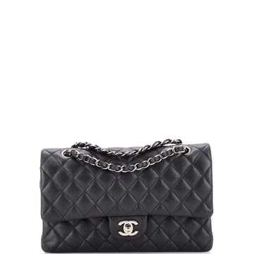 Chanel Classic Double Flap Bag Quilted Iridescent Caviar Medium