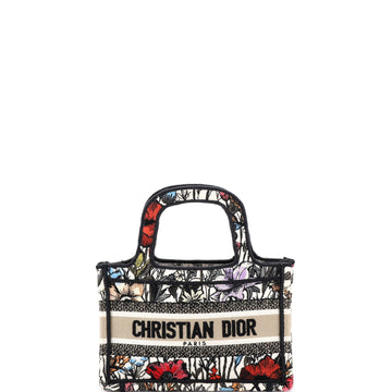 Christian Dior Book Tote Embroidered Canvas Mini