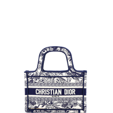 Christian Dior Book Tote Oblique Canvas Mini