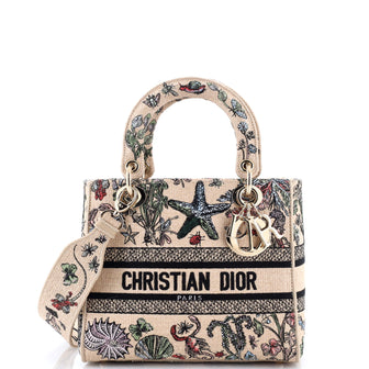 Christian Dior Lady D-Lite Bag Embroidered Raffia Medium