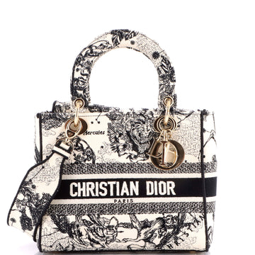 Christian Dior Lady D-Lite Bag Embroidered Canvas Medium