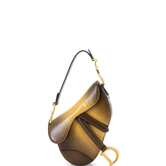 Christian Dior Saddle Handbag Python Mini