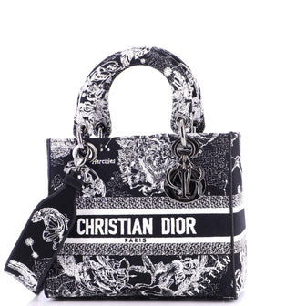 Christian Dior Lady D-Lite Bag Embroidered Canvas Medium