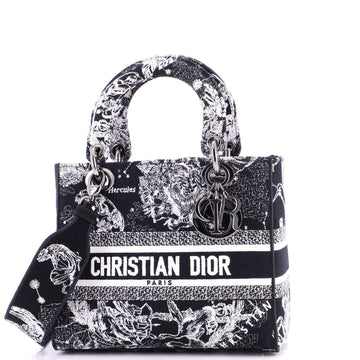 Christian Dior Lady D-Lite Bag Embroidered Canvas Medium
