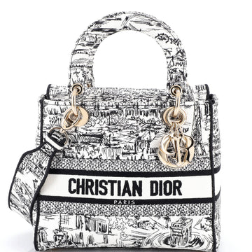 Christian Dior Lady D-Lite Bag Embroidered Canvas Medium