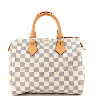 Louis Vuitton Speedy Handbag Damier 25