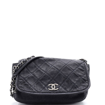 Chanel Natural Beauty Accordion Flap Bag Quilted Caviar Medium