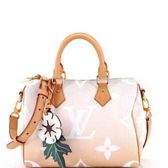 Louis Vuitton Speedy Bandouliere Bag By The Pool Monogram Giant 25