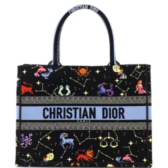 Christian Dior Book Tote Embroidered Canvas Medium