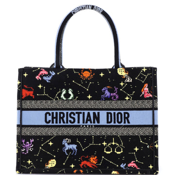 Christian Dior Book Tote Embroidered Canvas Medium