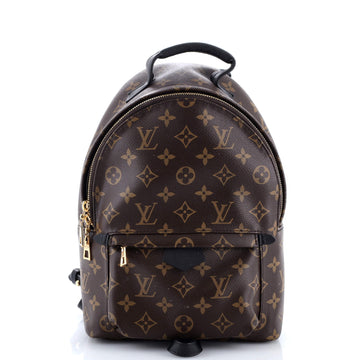 Louis Vuitton Palm Springs Backpack Monogram Canvas PM