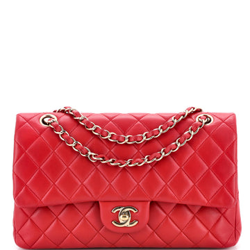 Chanel Classic Double Flap Bag Quilted Lambskin Medium