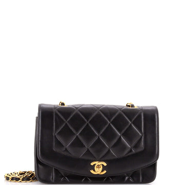Chanel Vintage Diana Flap Bag Quilted Lambskin Small