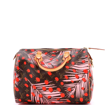 Louis Vuitton Speedy Handbag Limited Edition Monogram Jungle Dots 30