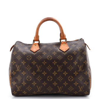 Louis Vuitton Speedy Handbag Monogram Canvas 30