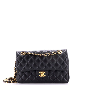 Chanel Classic Double Flap Bag Quilted Lambskin Small