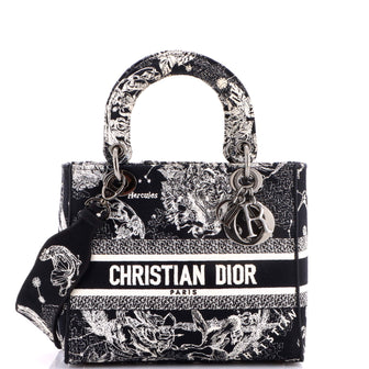 Christian Dior Lady D-Lite Bag Embroidered Canvas Medium