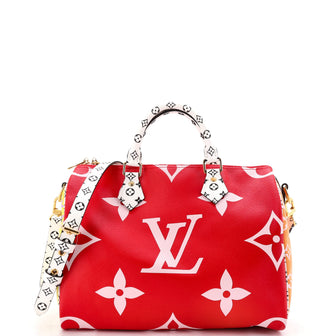 Louis Vuitton Speedy Bandouliere Bag Limited Edition Colored Monogram Giant 30