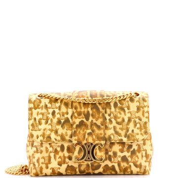 Celine Victoire Flap Shoulder Bag Printed Triomphe Coated Canvas Medium