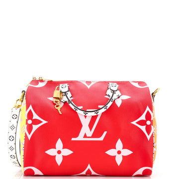 Louis Vuitton Speedy Bandouliere Bag Limited Edition Colored Monogram Giant 30