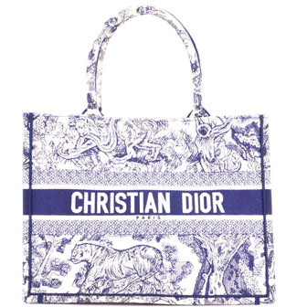 Christian Dior Book Tote Embroidered Canvas Medium