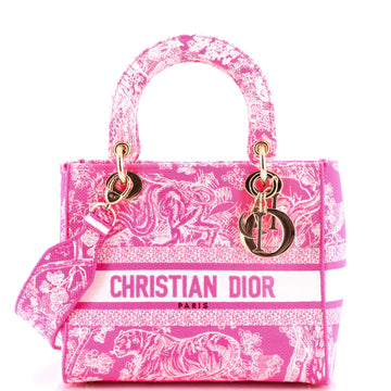 Christian Dior Lady D-Lite Bag Embroidered Canvas Medium