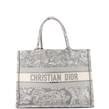 Christian Dior Book Tote Embroidered Canvas Medium