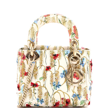 Christian Dior Lady Dior Chain Bag Embroidered Printed Calfskin Mini