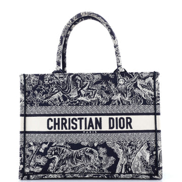 Christian Dior Book Tote Embroidered Canvas Medium